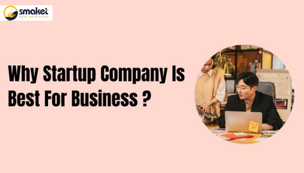 Why Startup Company Is Best For Business ?