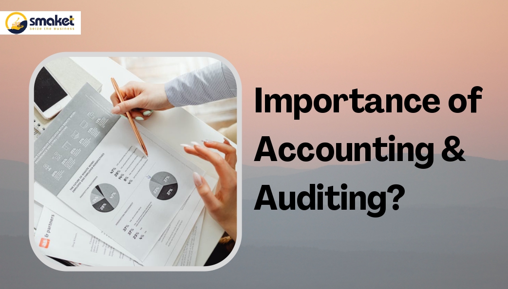 Importance of Accounting & Auditing?